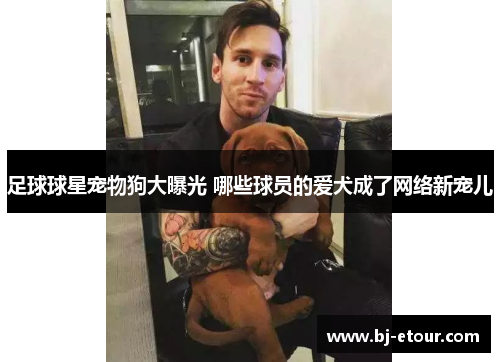 足球球星宠物狗大曝光 哪些球员的爱犬成了网络新宠儿